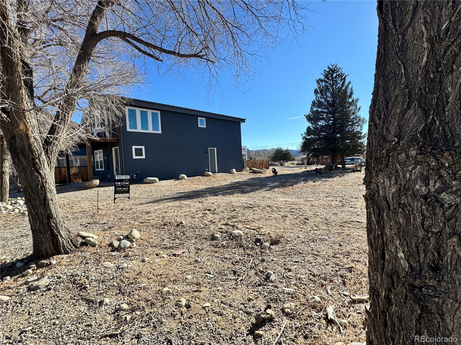 513 Gold Street Buena Vista CO 81211