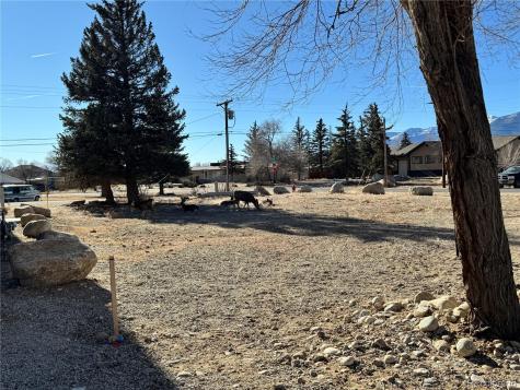 513 Gold Street Buena Vista CO 81211