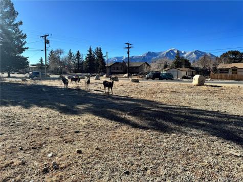 513 Gold Street Buena Vista CO 81211