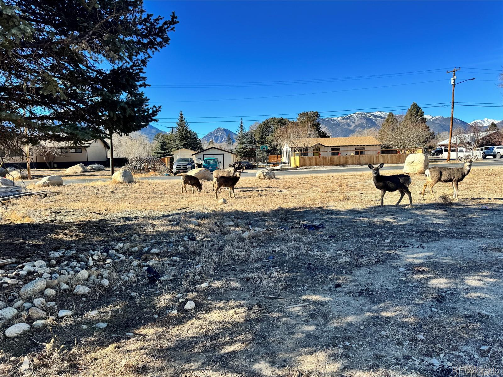 513 Gold Street Buena Vista CO 81211