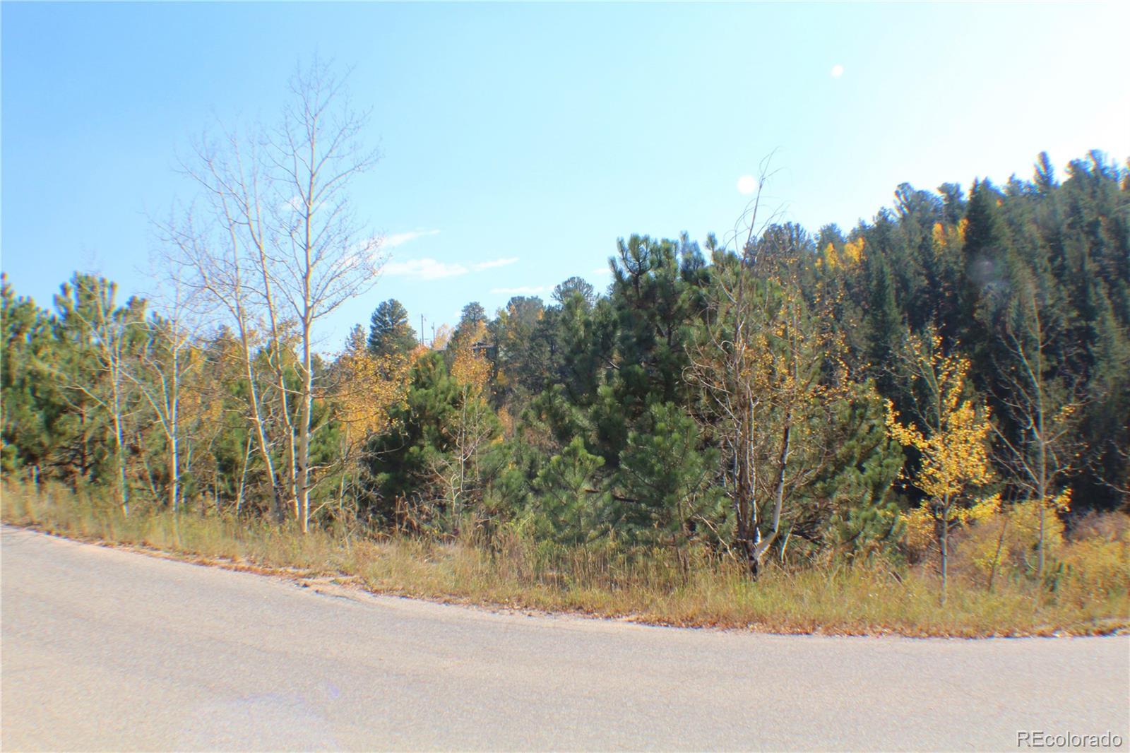 2020 Shelton Drive Bailey CO 80421