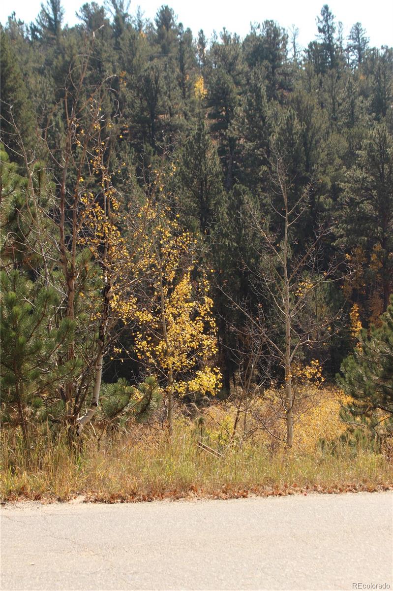 2020 Shelton Drive Bailey CO 80421
