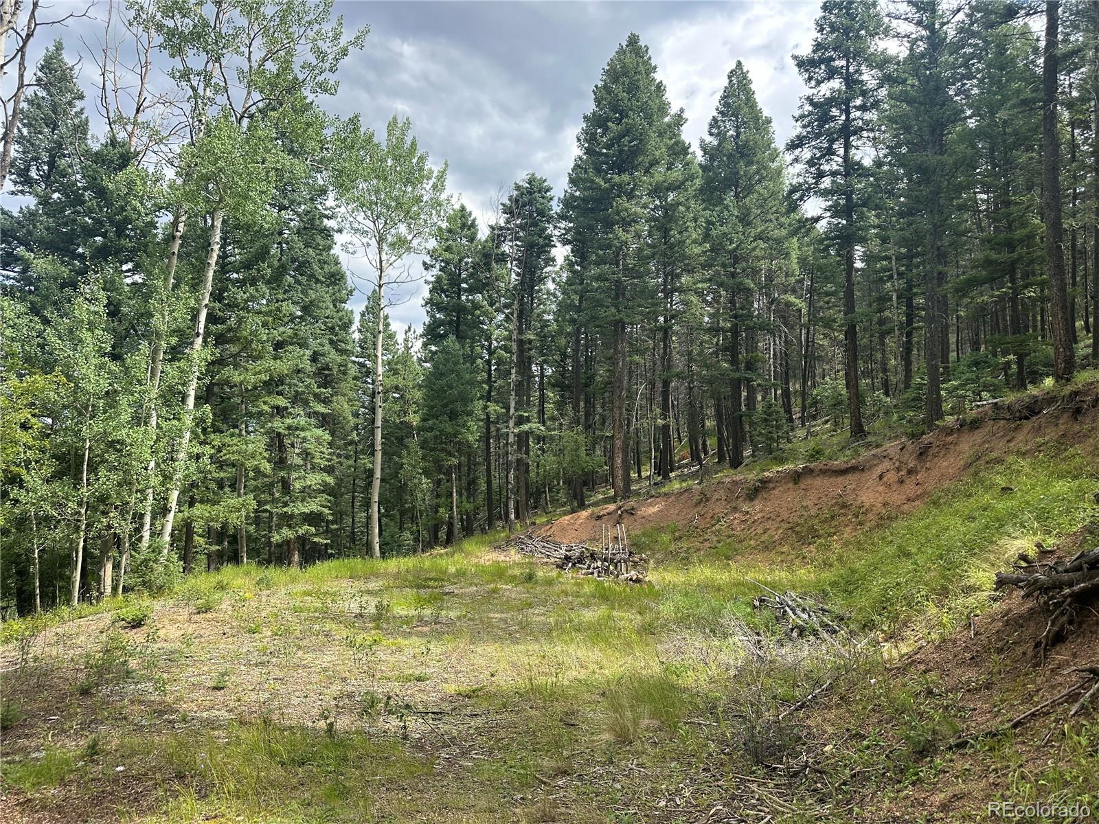 272 Fern Valley Manitou Springs CO 80829
