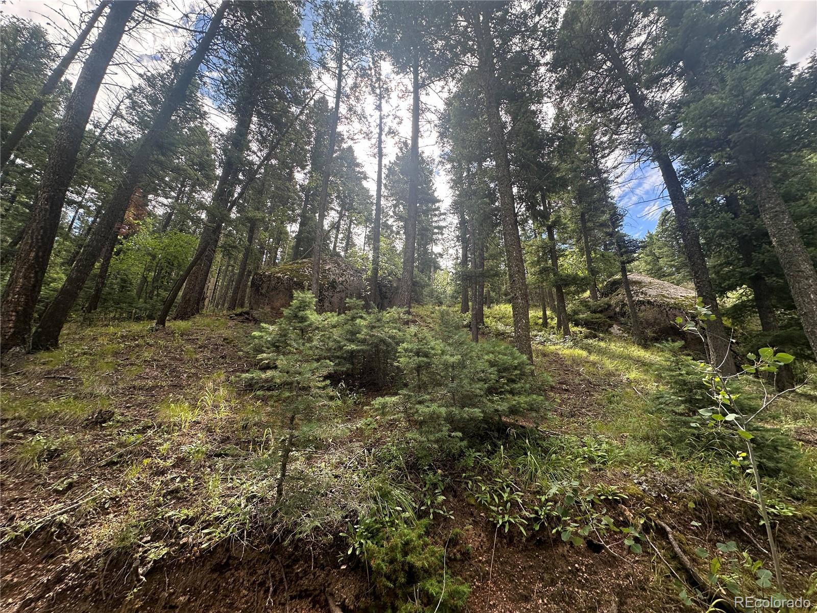 272 Fern Valley Manitou Springs CO 80829