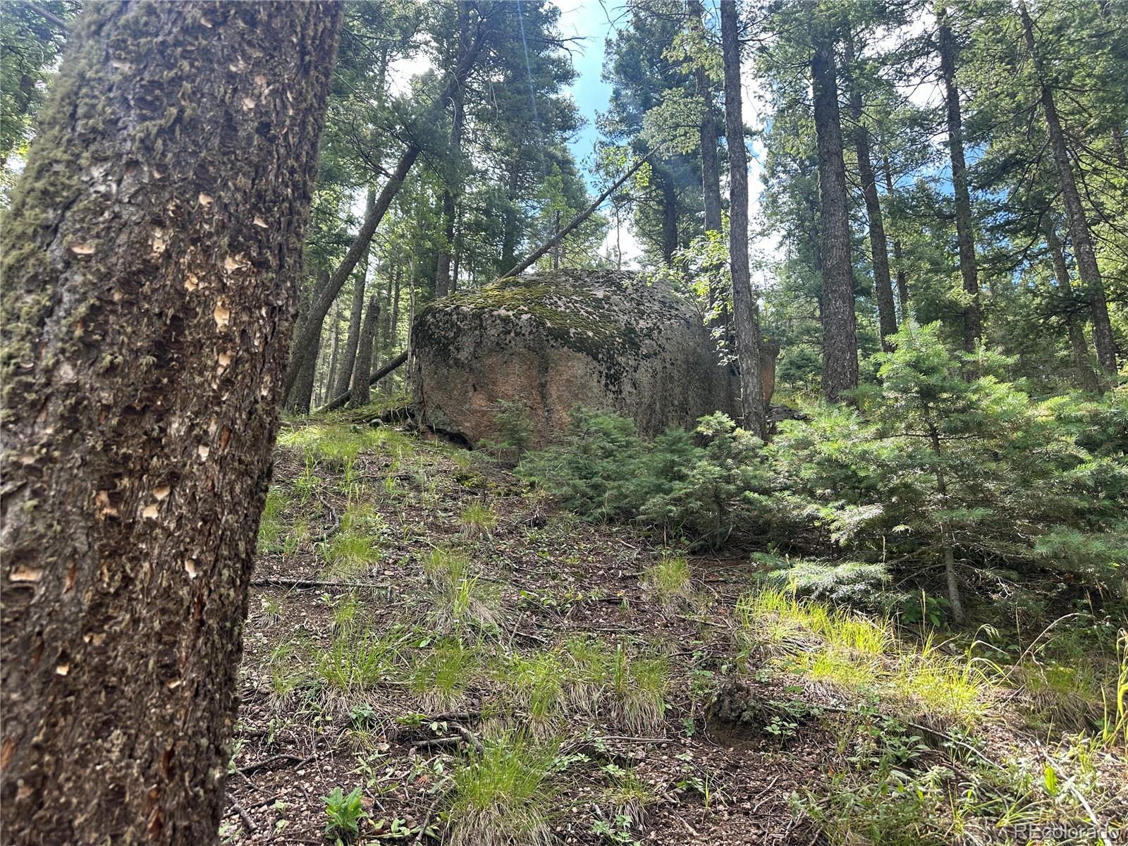 272 Fern Valley Manitou Springs CO 80829