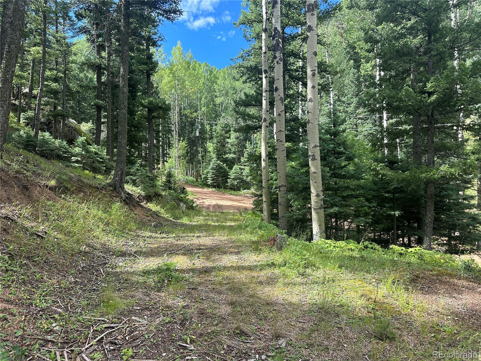 272 Fern Valley Manitou Springs CO 80829