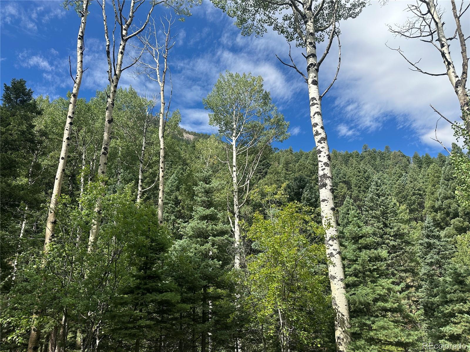 272 Fern Valley Manitou Springs CO 80829