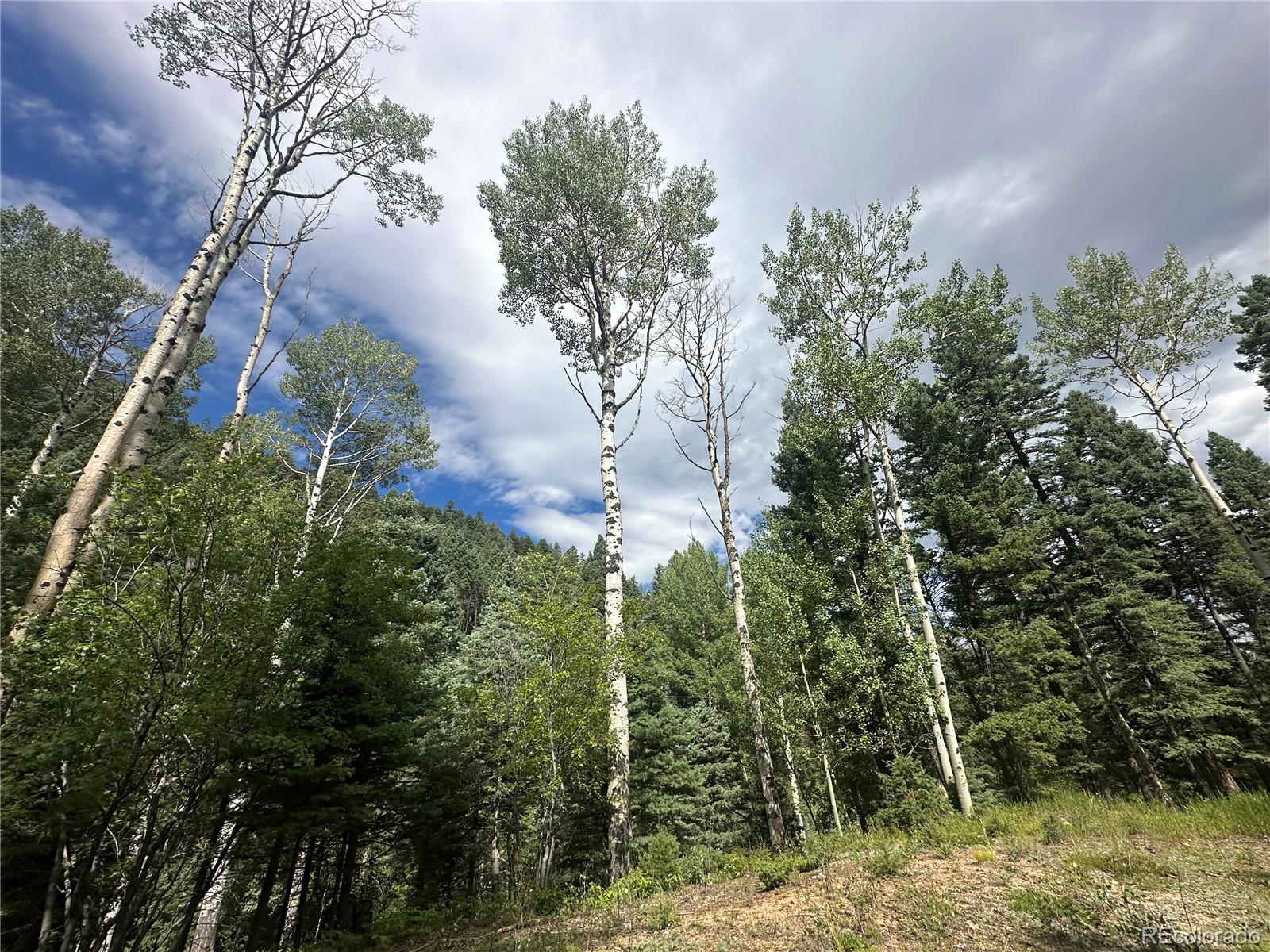 272 Fern Valley Manitou Springs CO 80829
