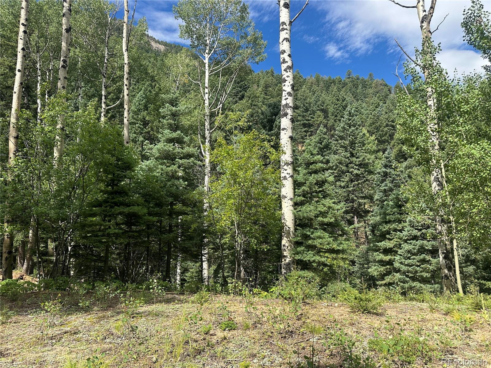 272 Fern Valley Manitou Springs CO 80829