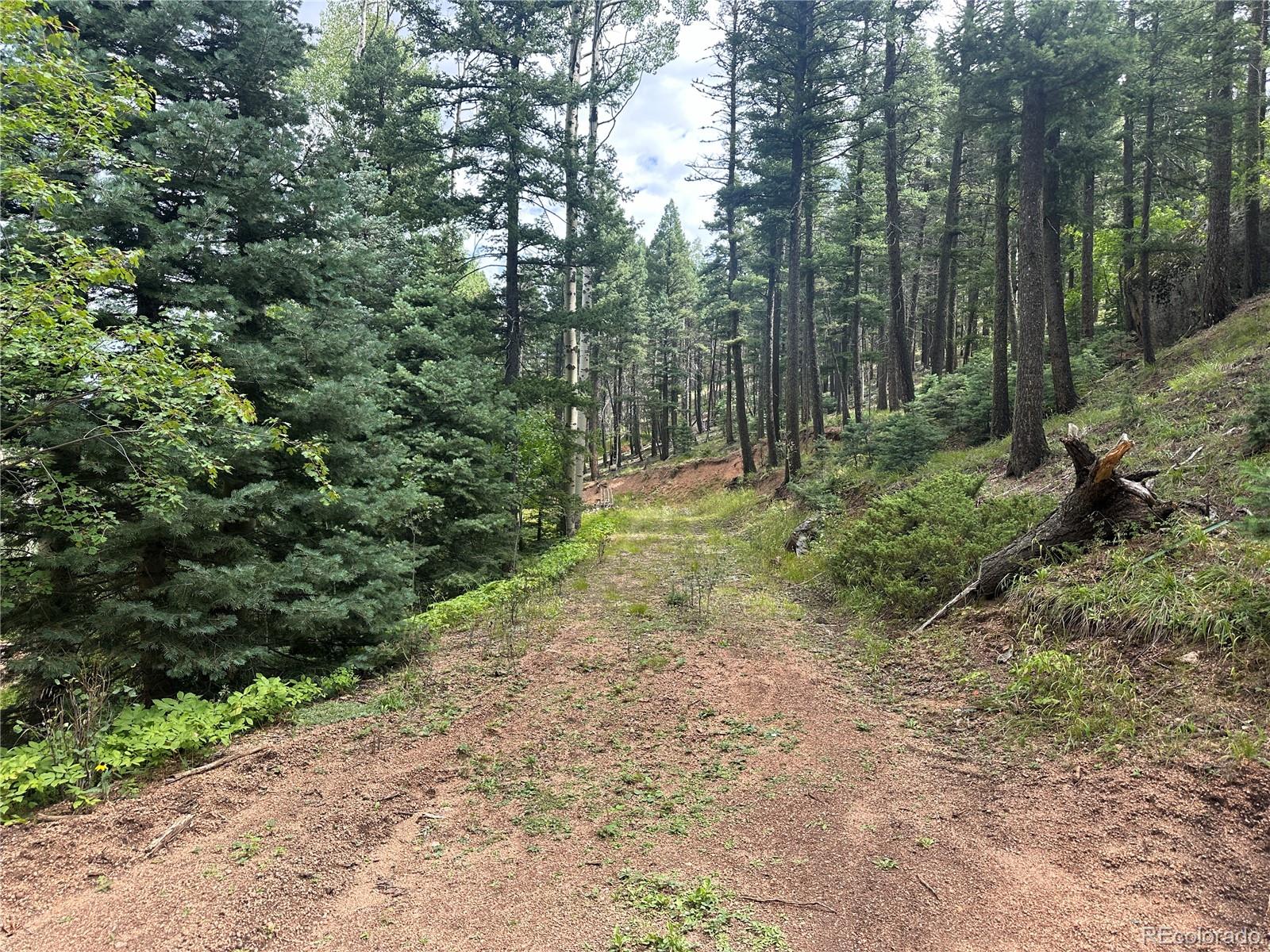 272 Fern Valley Manitou Springs CO 80829