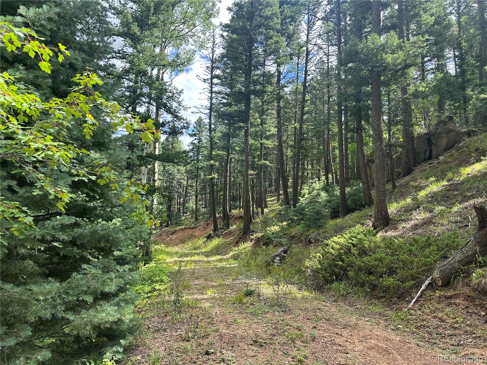 272 Fern Valley Manitou Springs CO 80829