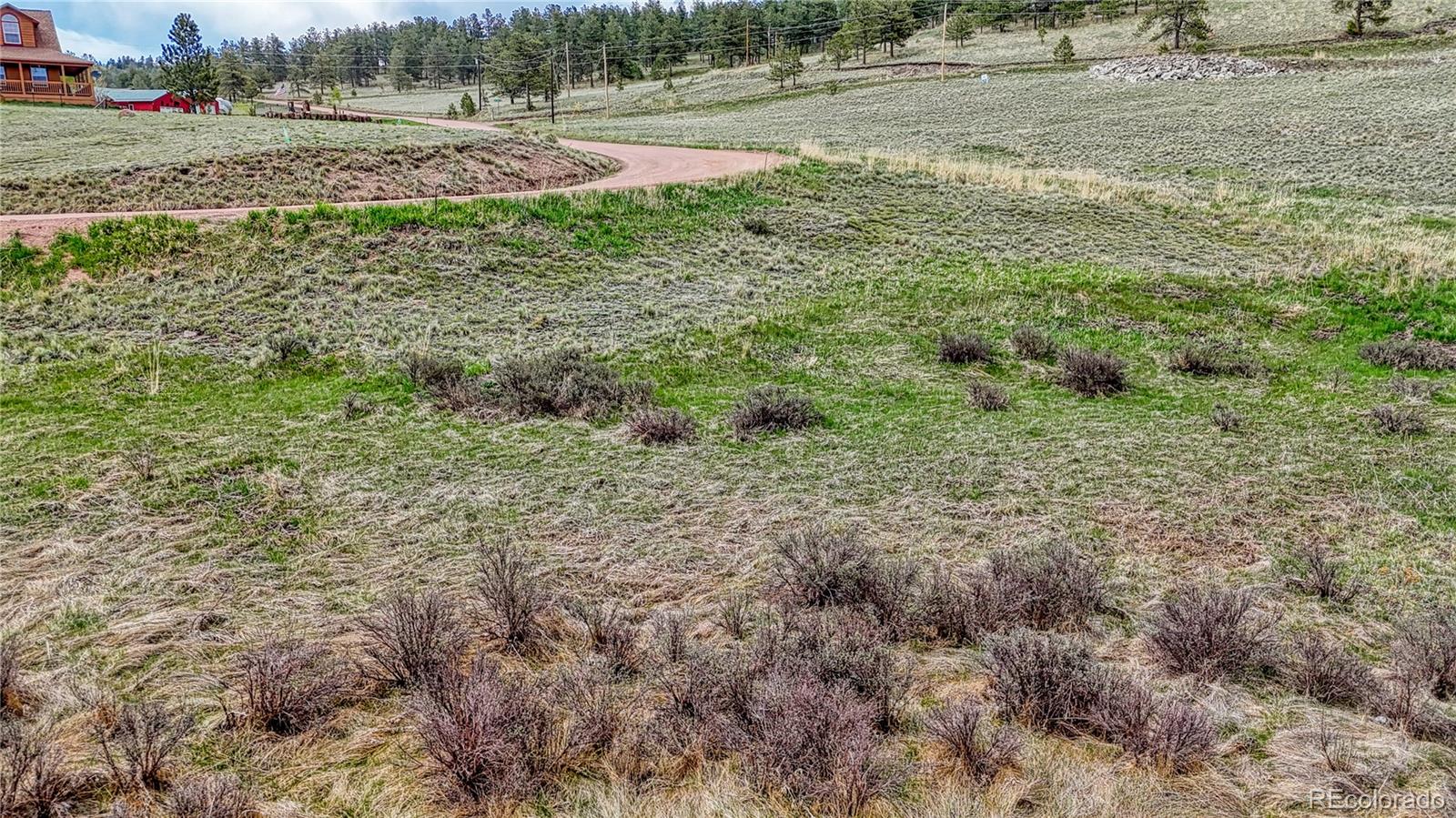 315 Empire Road Florissant CO 80816