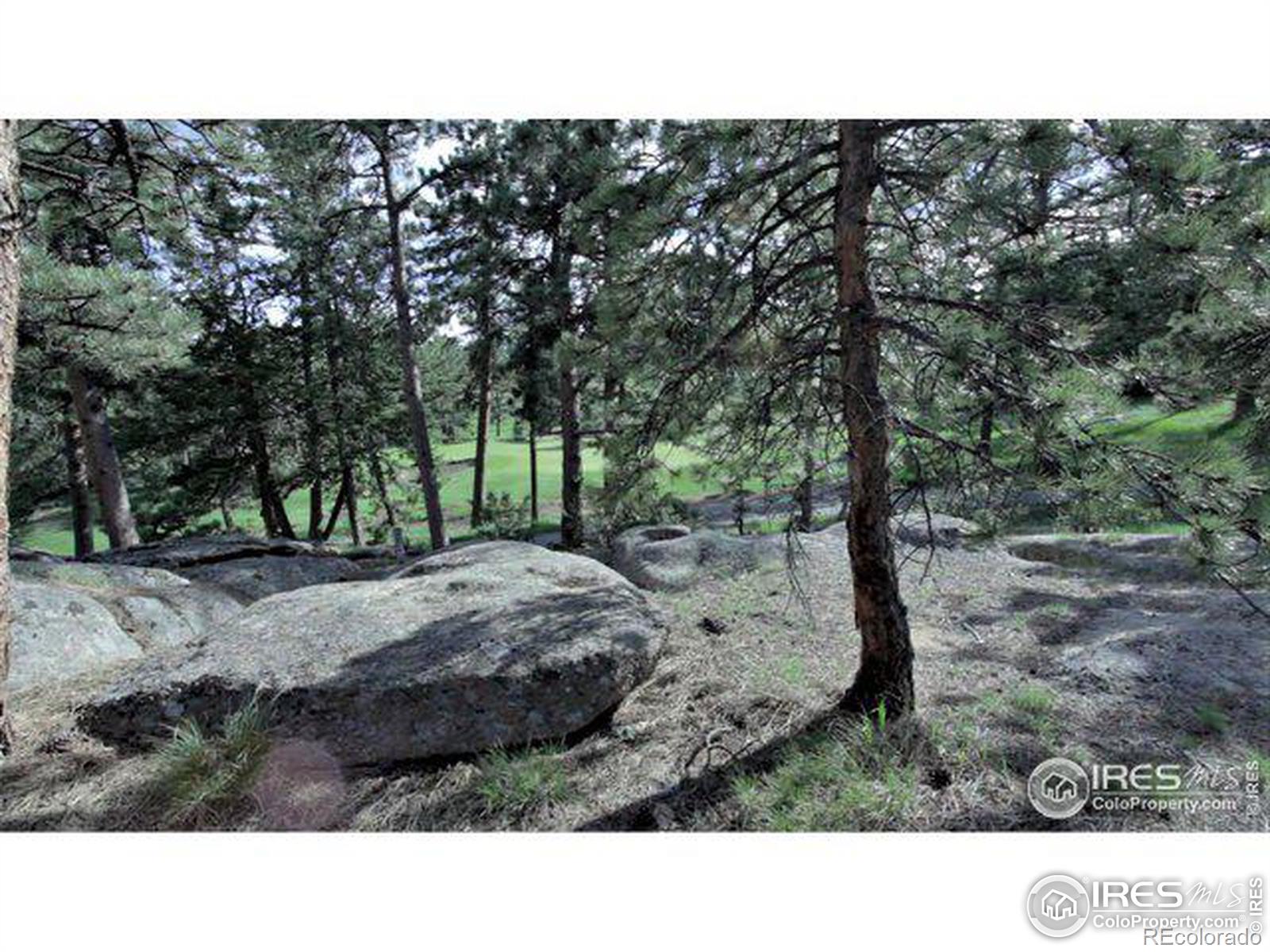 530 Fox Acres Drive W Red Feather Lakes CO 80545