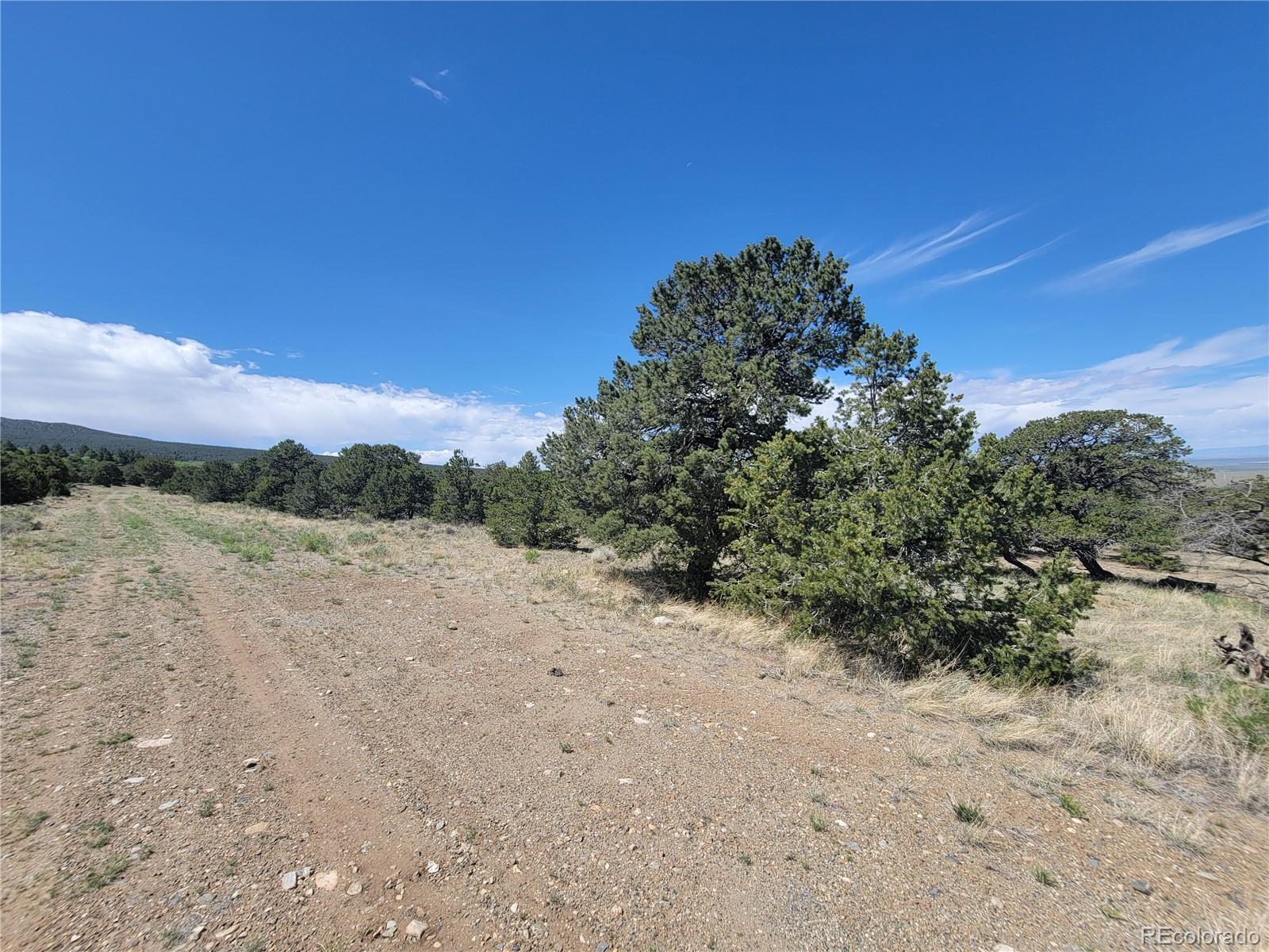 107 Crosstimber Lane Mosca CO 81146