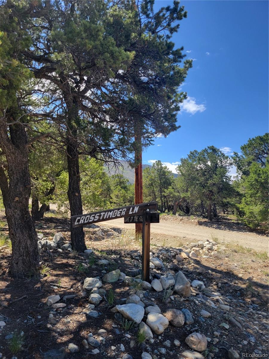 107 Crosstimber Lane Mosca CO 81146