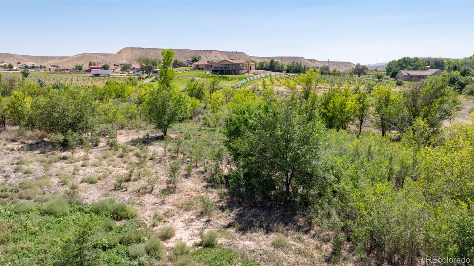267 33 Road Palisade CO 81526