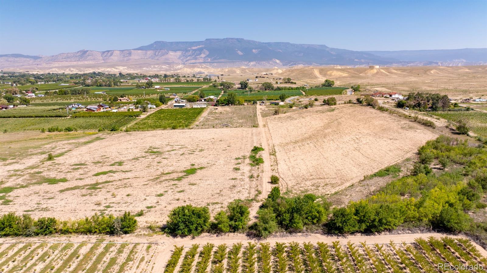 267 33 Road Palisade CO 81526