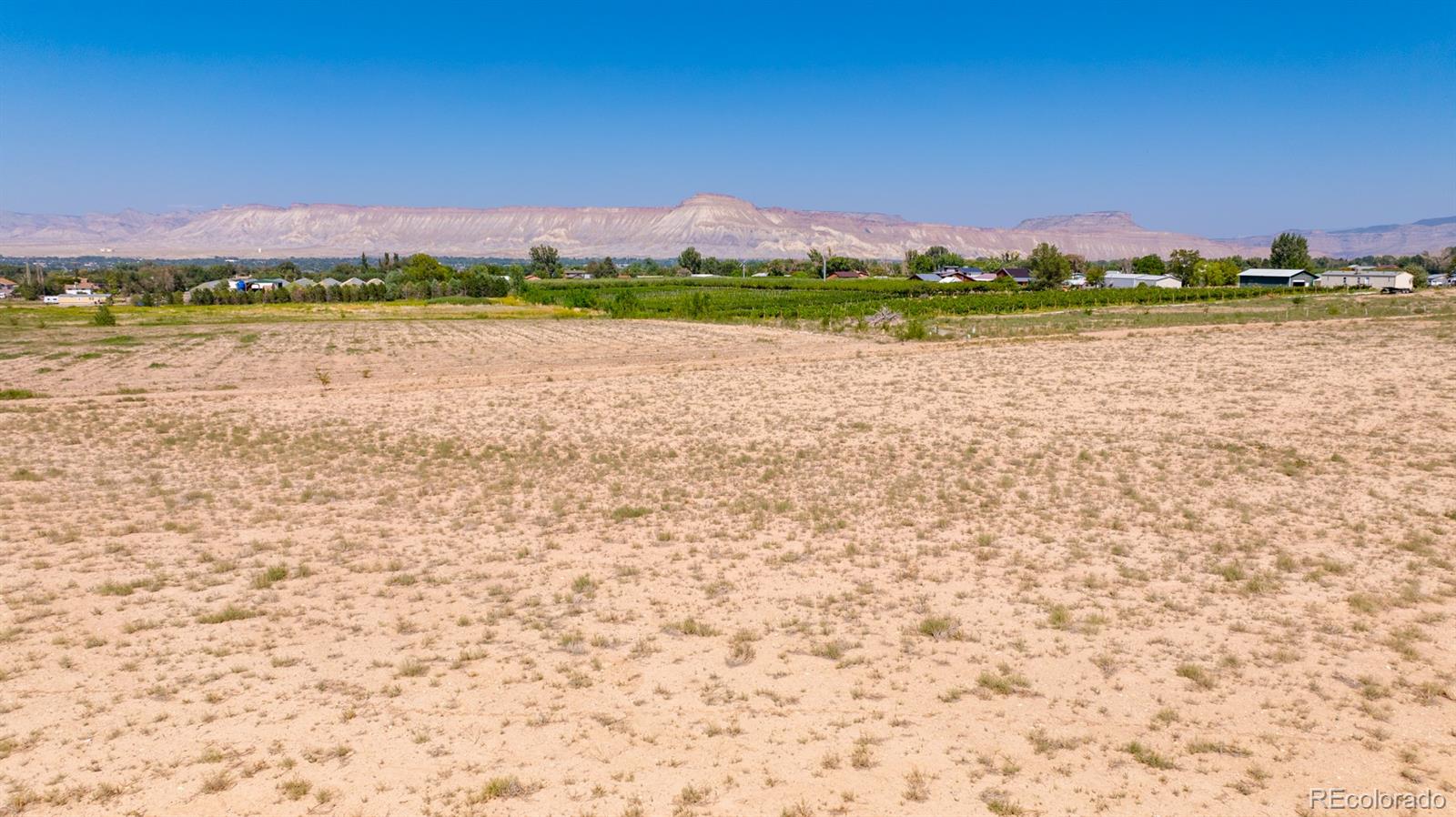 267 33 Road Palisade CO 81526