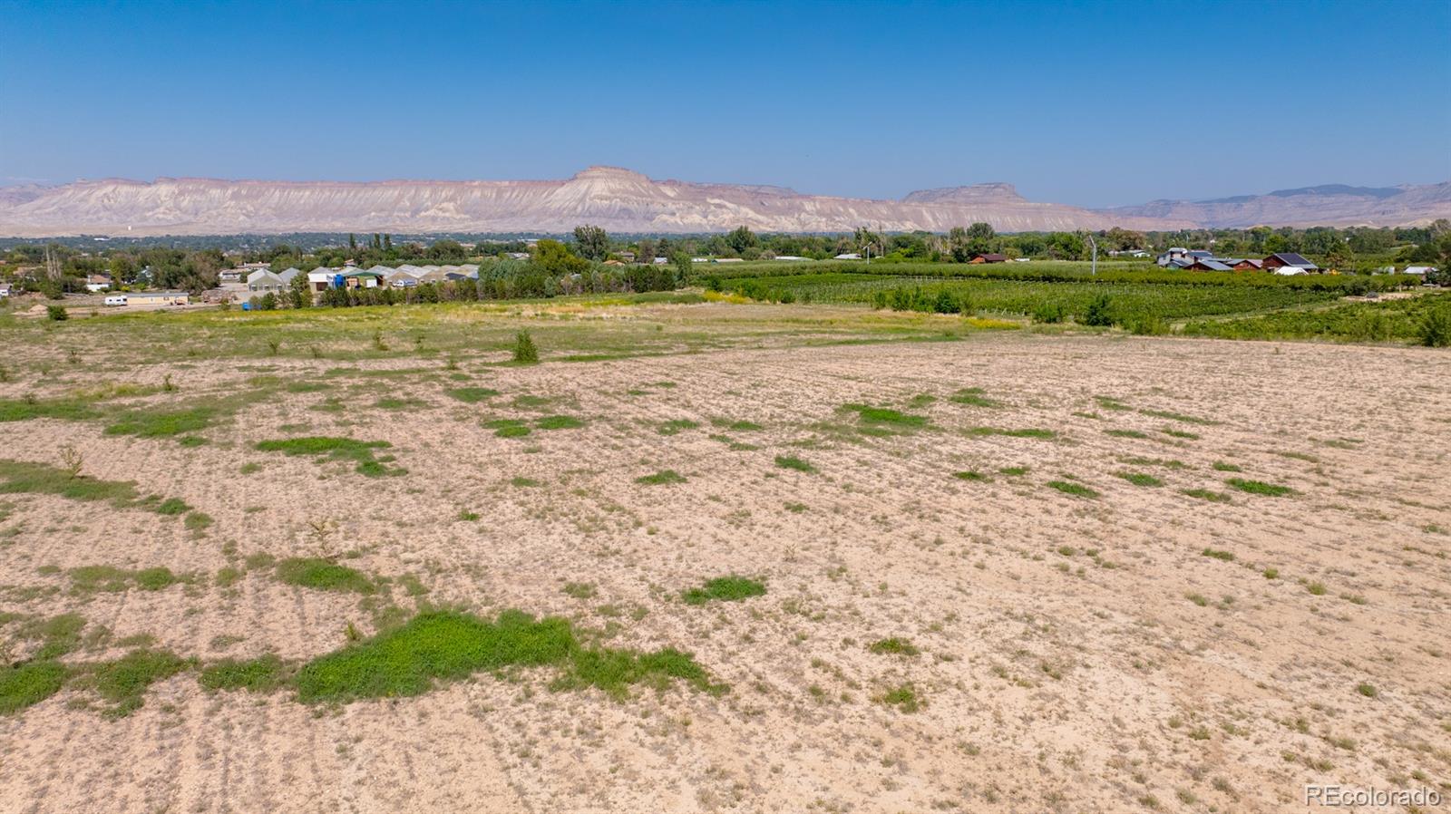 267 33 Road Palisade CO 81526