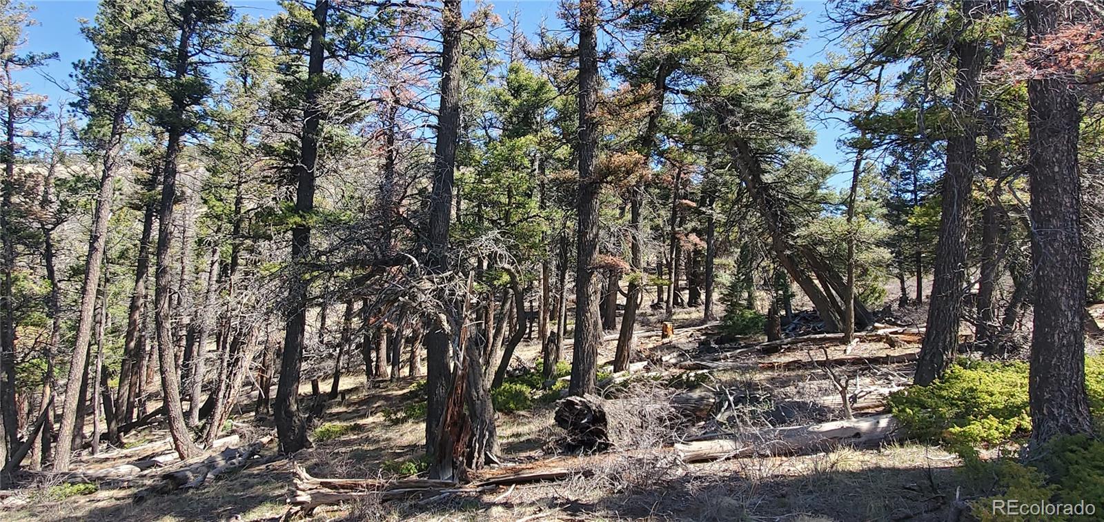 Lot 5802 Tagge Road San Luis CO 81152