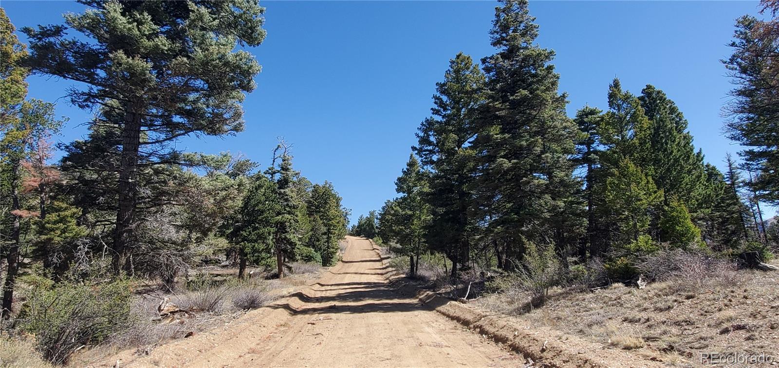 Lot 5802 Tagge Road San Luis CO 81152