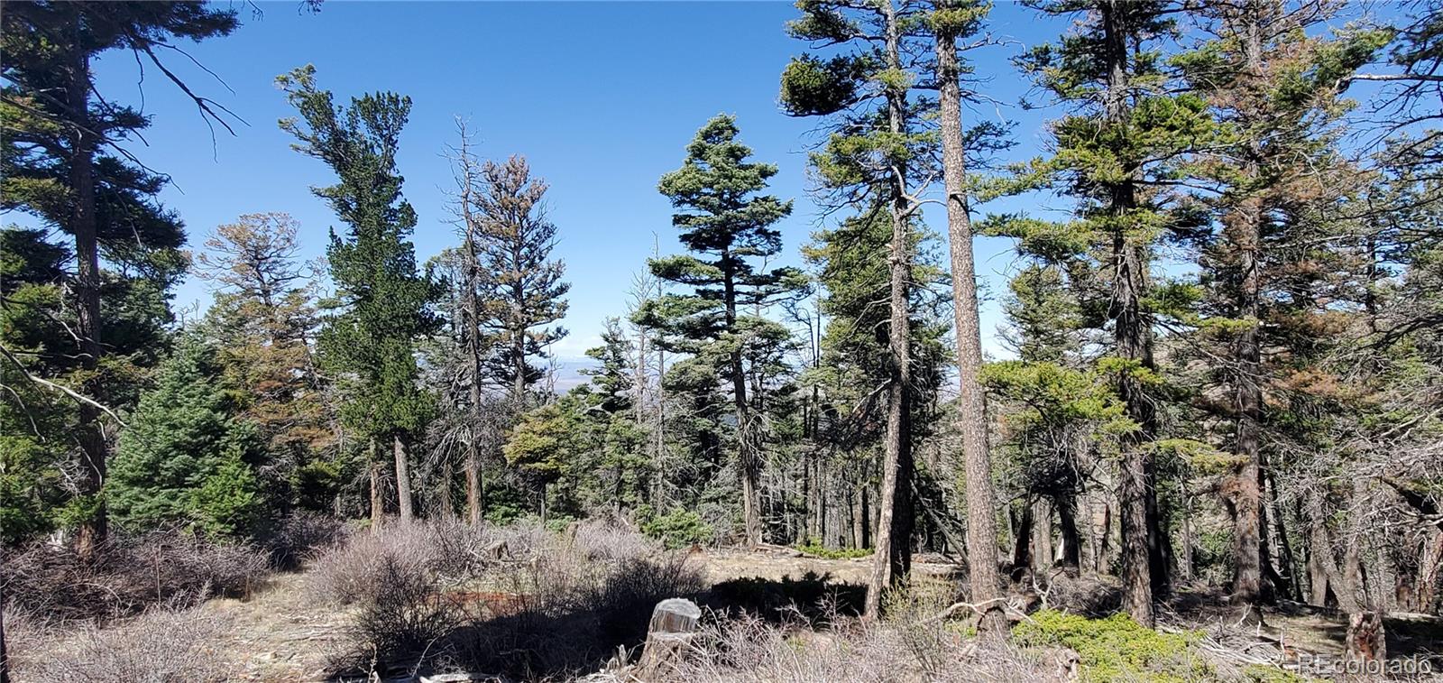Lot 5802 Tagge Road San Luis CO 81152