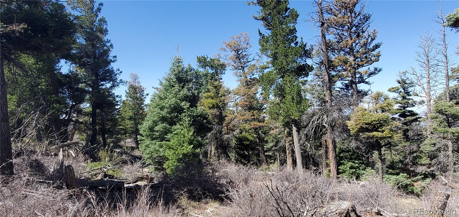 Lot 5802 Tagge Road San Luis CO 81152