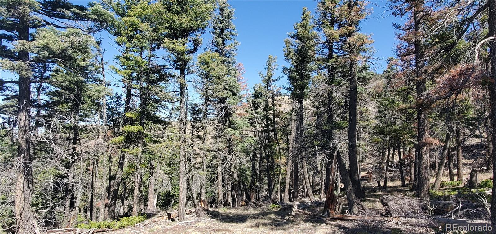 Lot 5802 Tagge Road San Luis CO 81152
