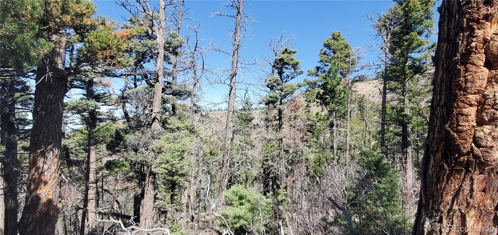 Lot 5802 Tagge Road San Luis CO 81152