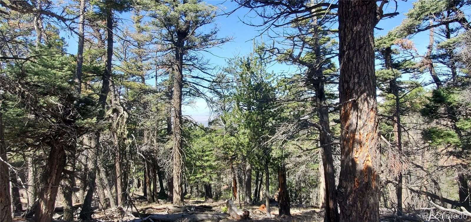Lot 5802 Tagge Road San Luis CO 81152