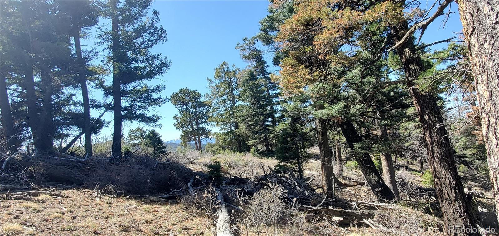 Lot 5802 Tagge Road San Luis CO 81152