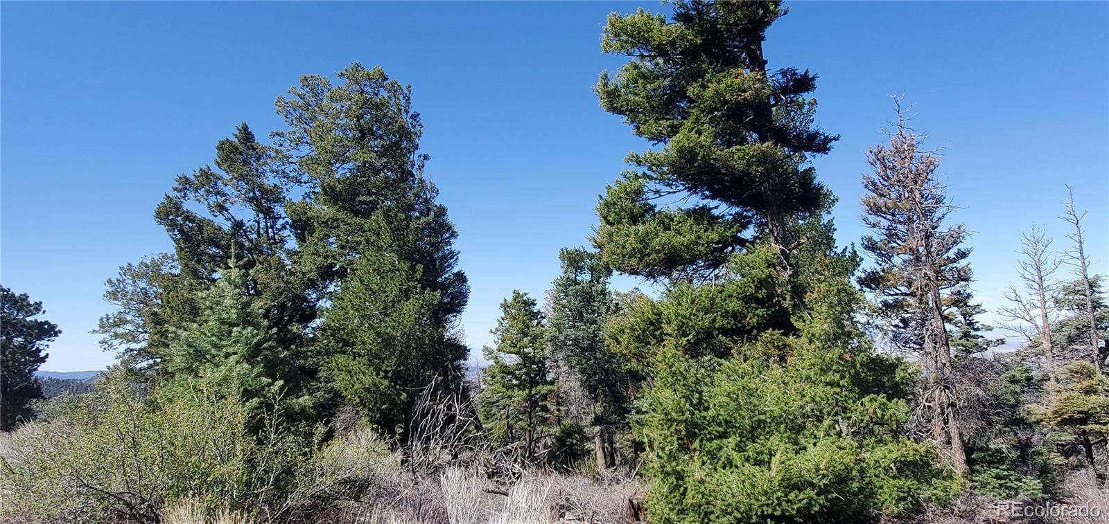 Lot 5802 Tagge Road San Luis CO 81152