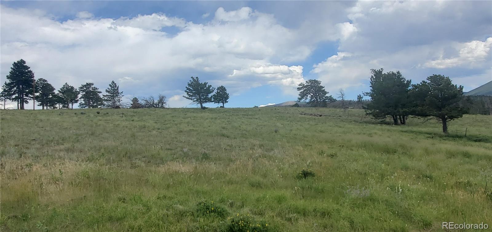 Lot 1720 Fitts Place Fort Garland CO 81133