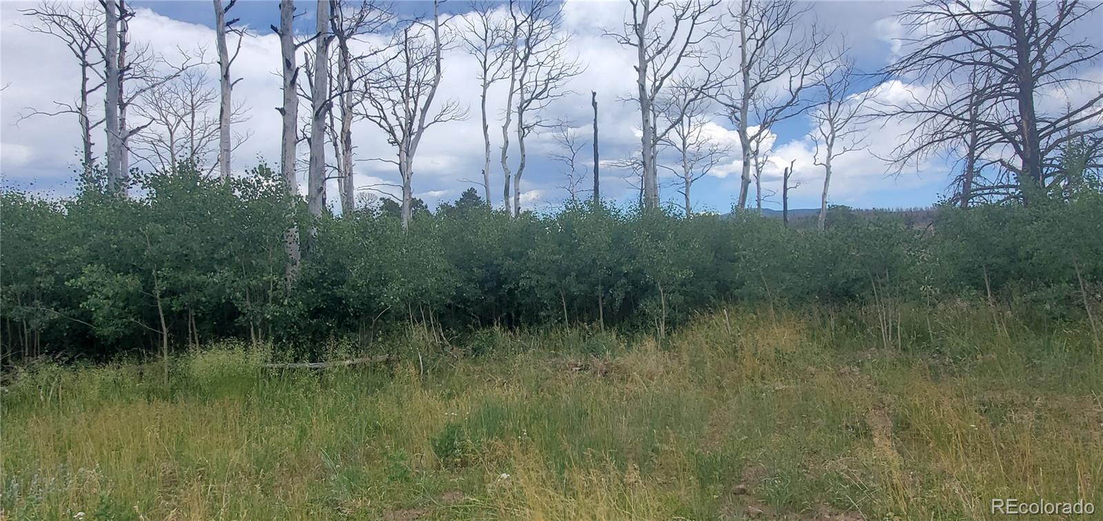Lot 1720 Fitts Place Fort Garland CO 81133