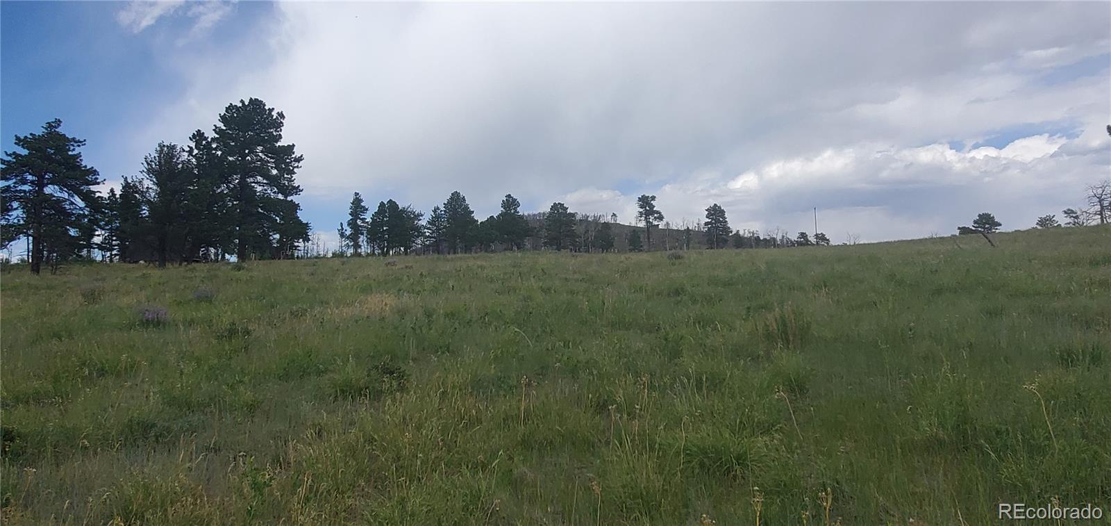 Lot 1720 Fitts Place Fort Garland CO 81133