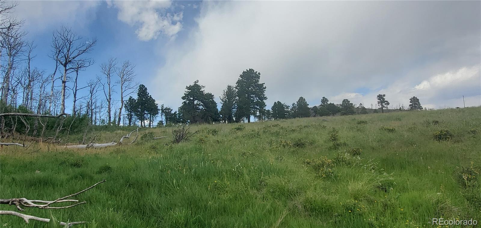 Lot 1720 Fitts Place Fort Garland CO 81133