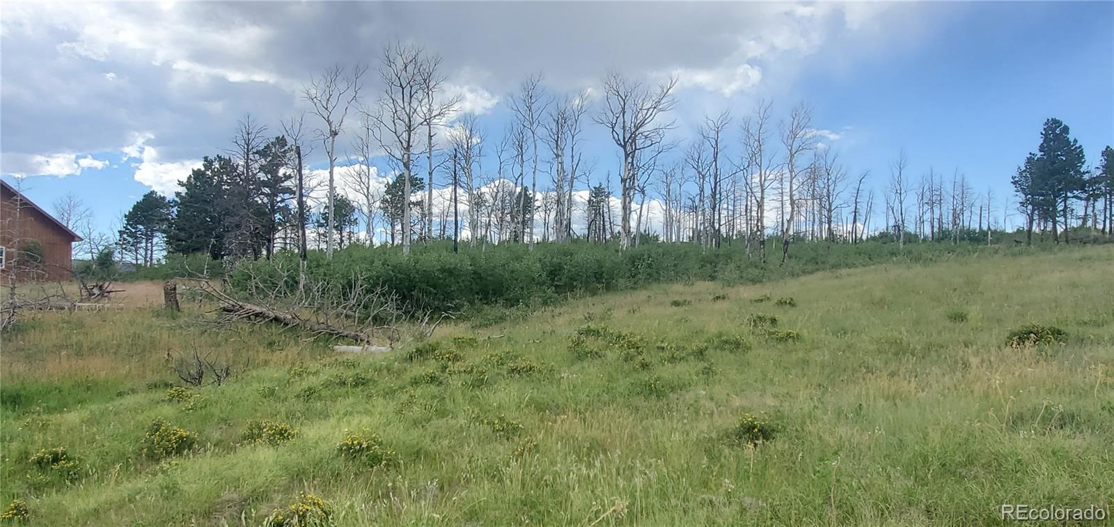 Lot 1720 Fitts Place Fort Garland CO 81133