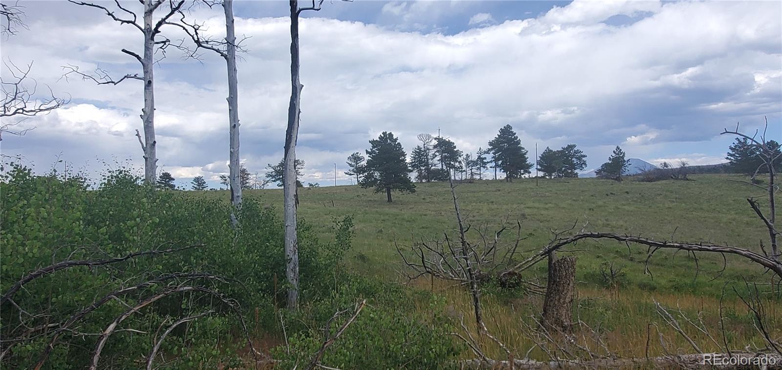 Lot 1720 Fitts Place Fort Garland CO 81133