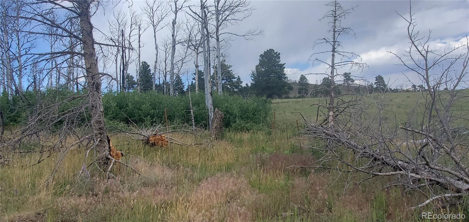 Lot 1720 Fitts Place Fort Garland CO 81133