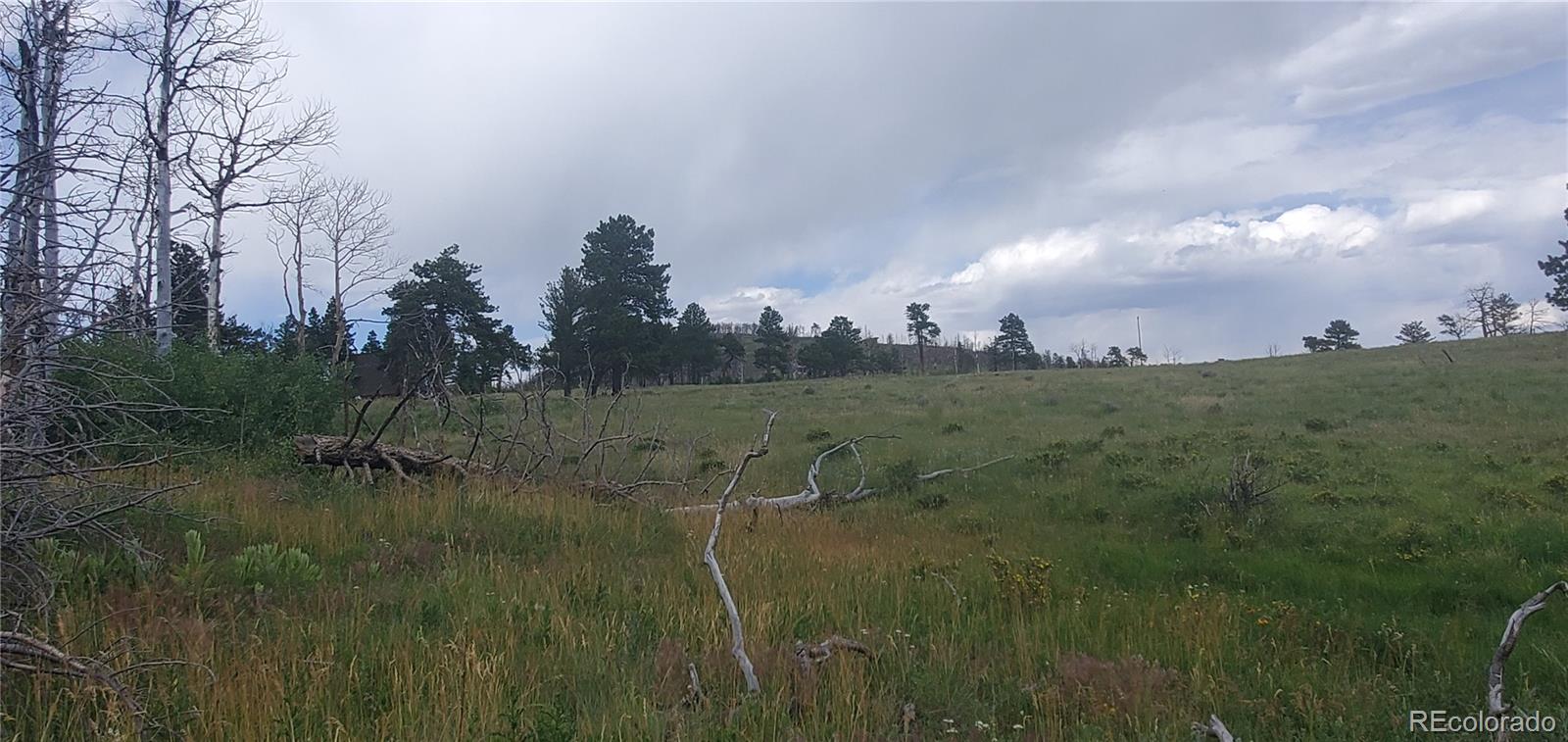 Lot 1720 Fitts Place Fort Garland CO 81133