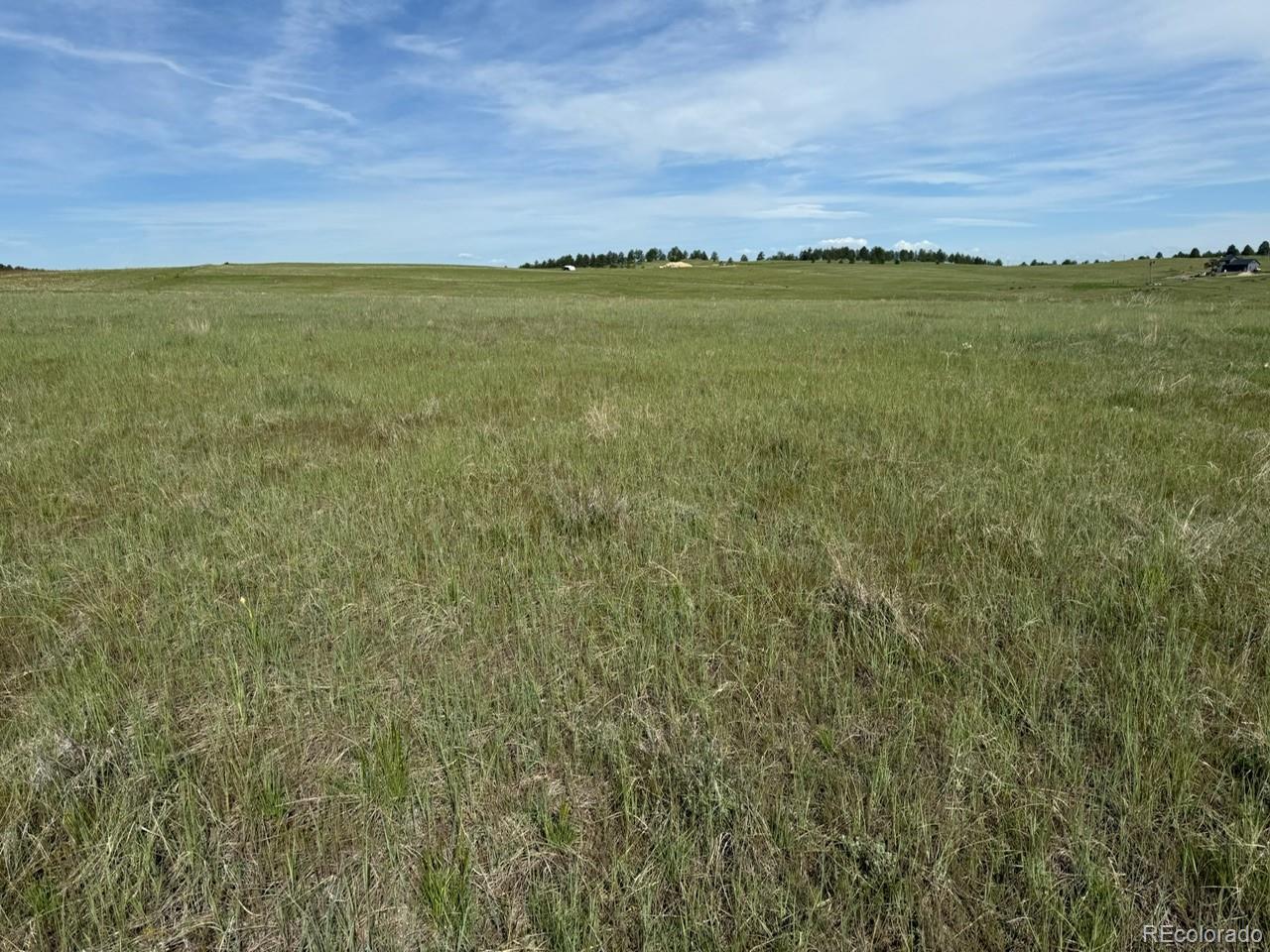 35501 Cheyenne Trail Elizabeth CO 80107