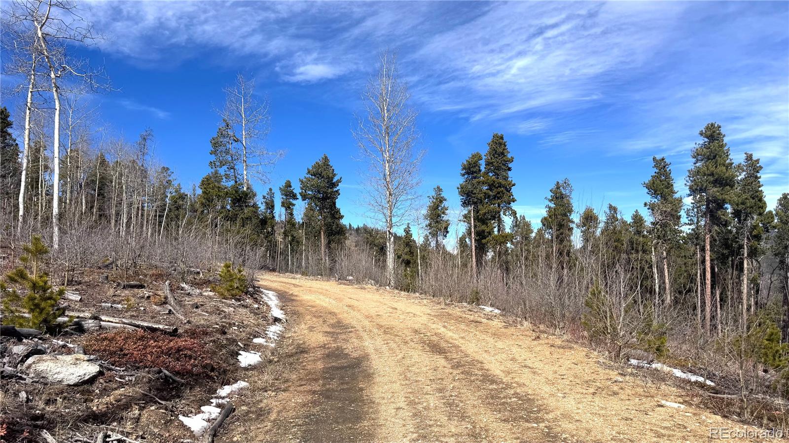 003 Seldom Seen Road Golden CO 80403
