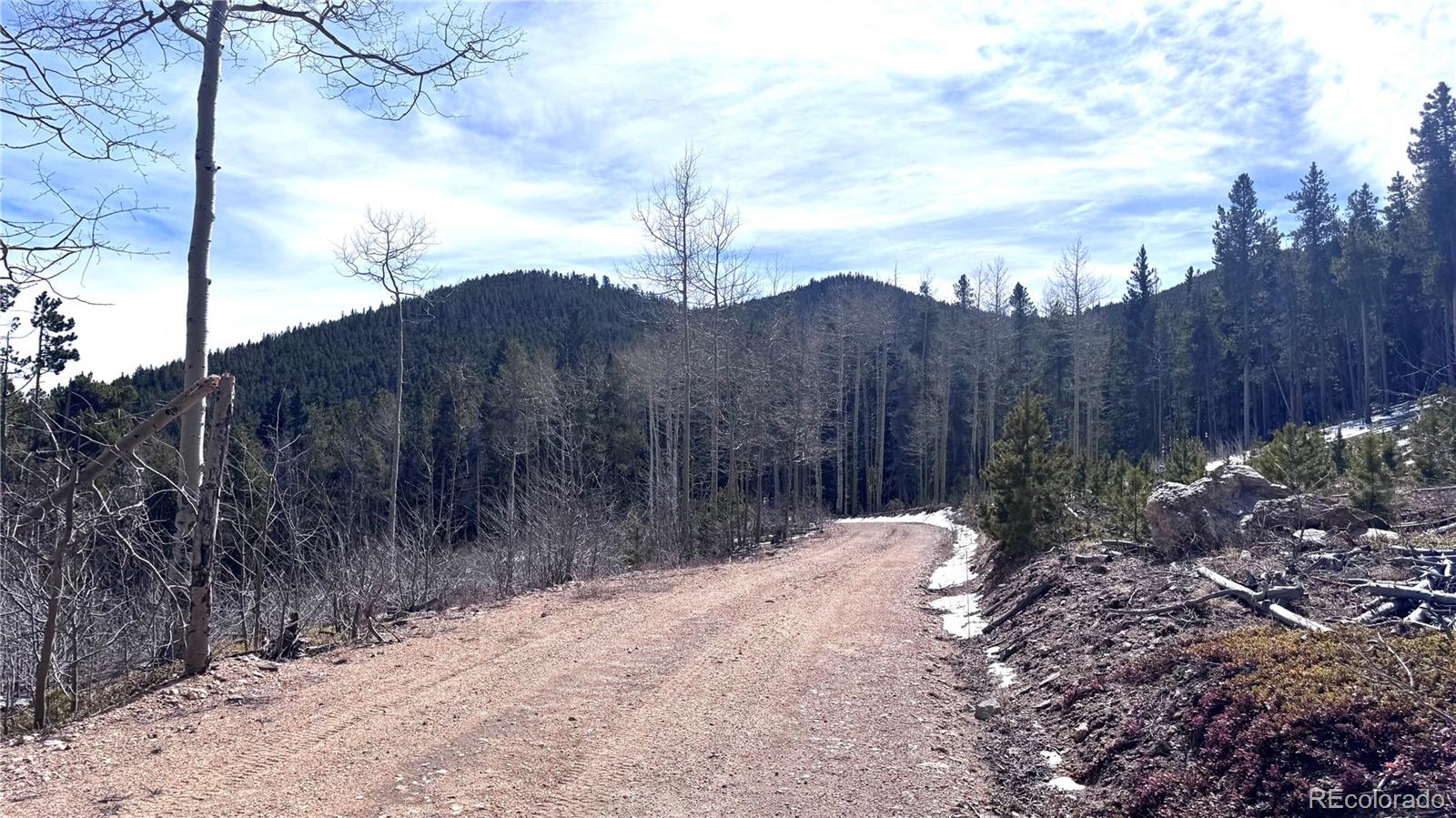 003 Seldom Seen Road Golden CO 80403