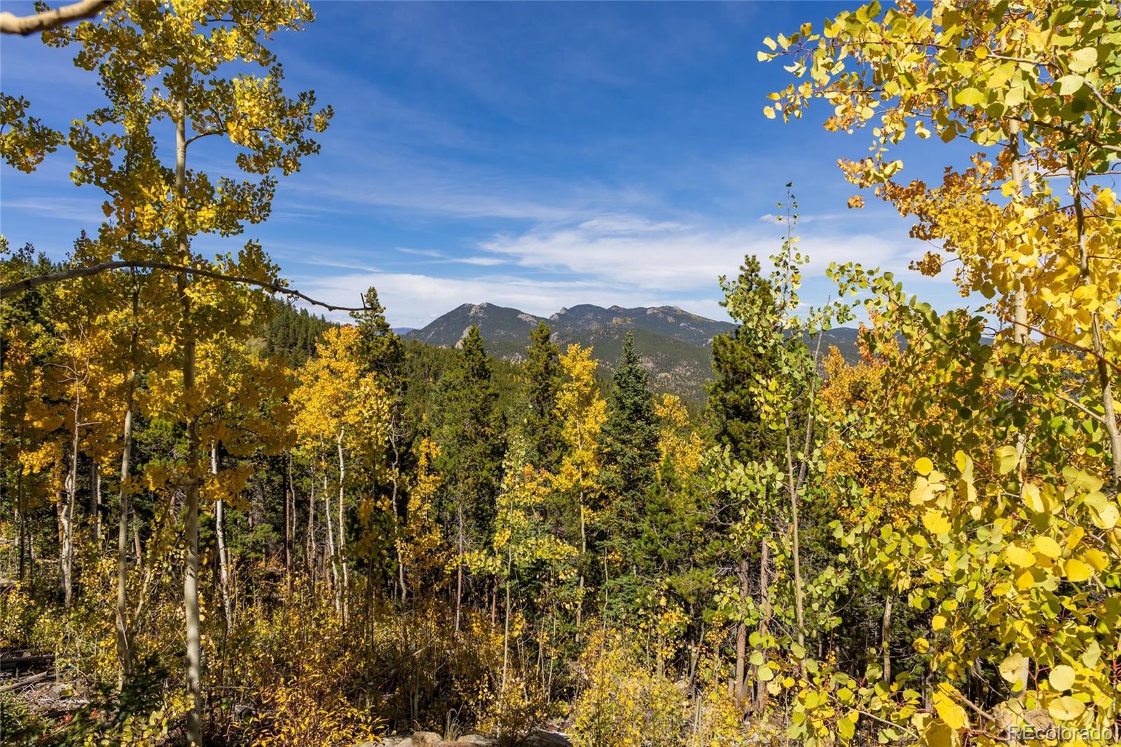 003 Seldom Seen Road Golden CO 80403