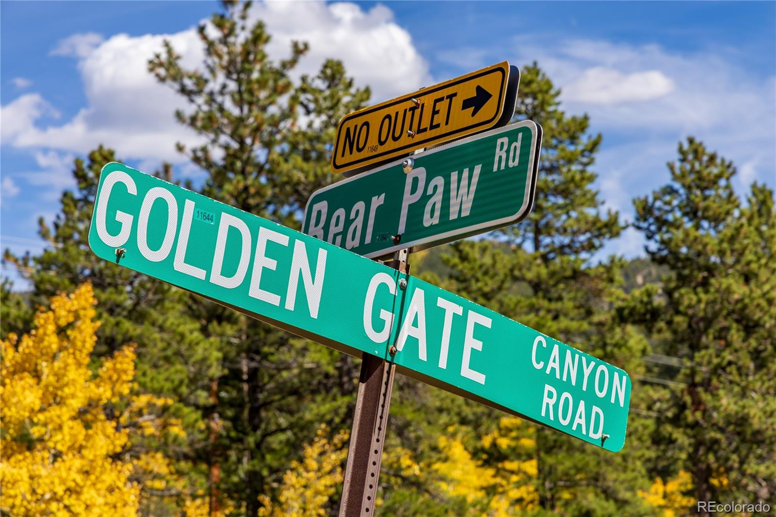 003 Seldom Seen Road Golden CO 80403