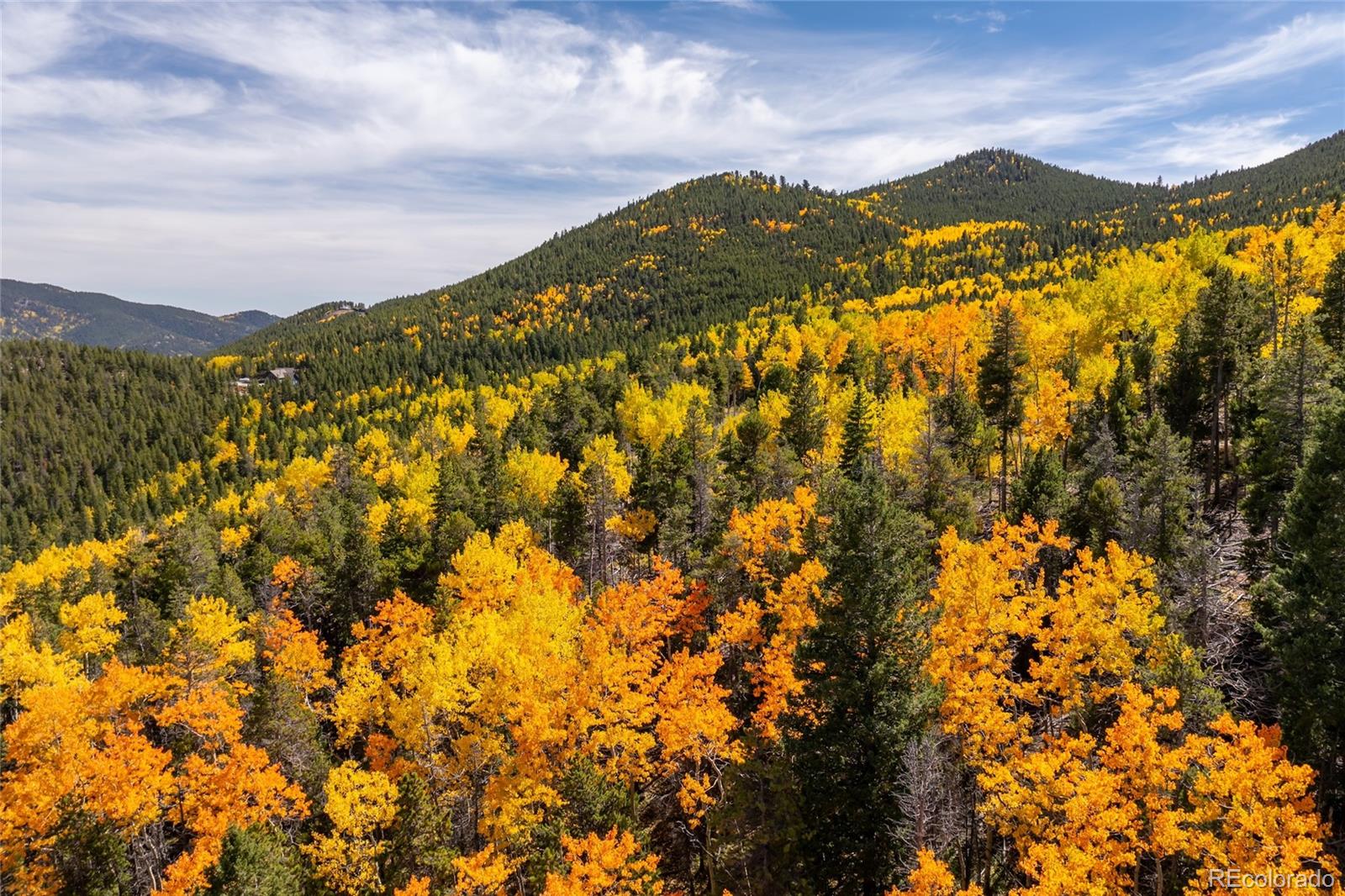 003 Seldom Seen Road Golden CO 80403