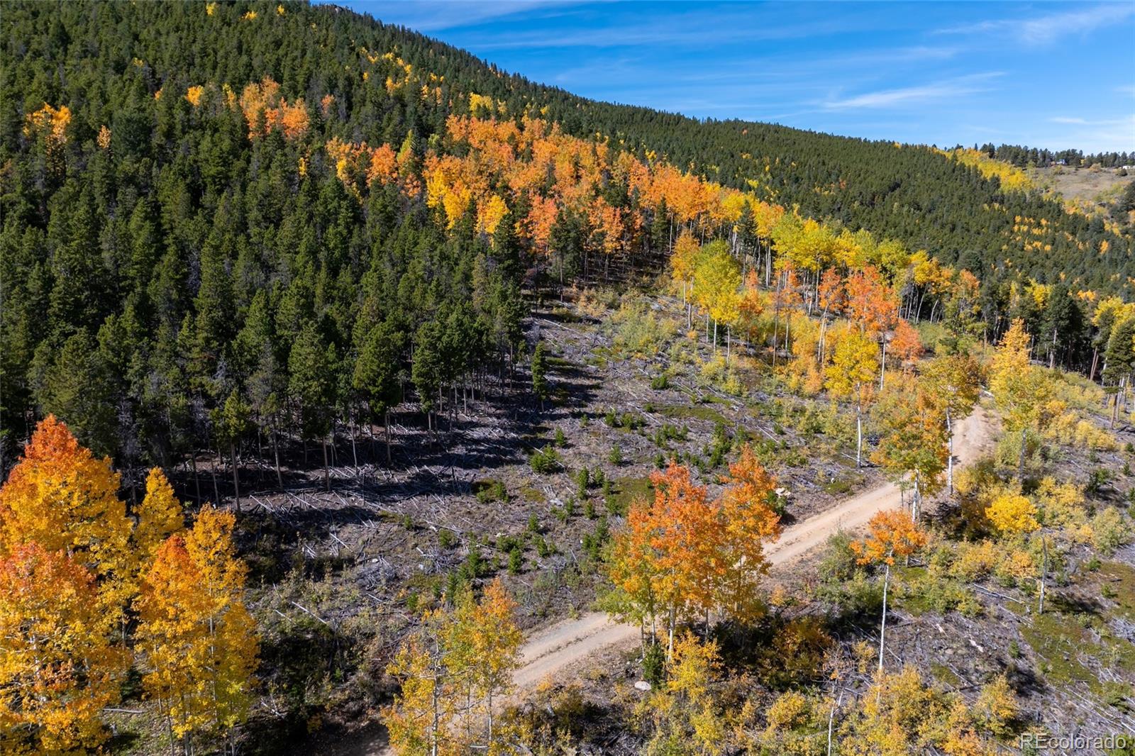 003 Seldom Seen Road Golden CO 80403