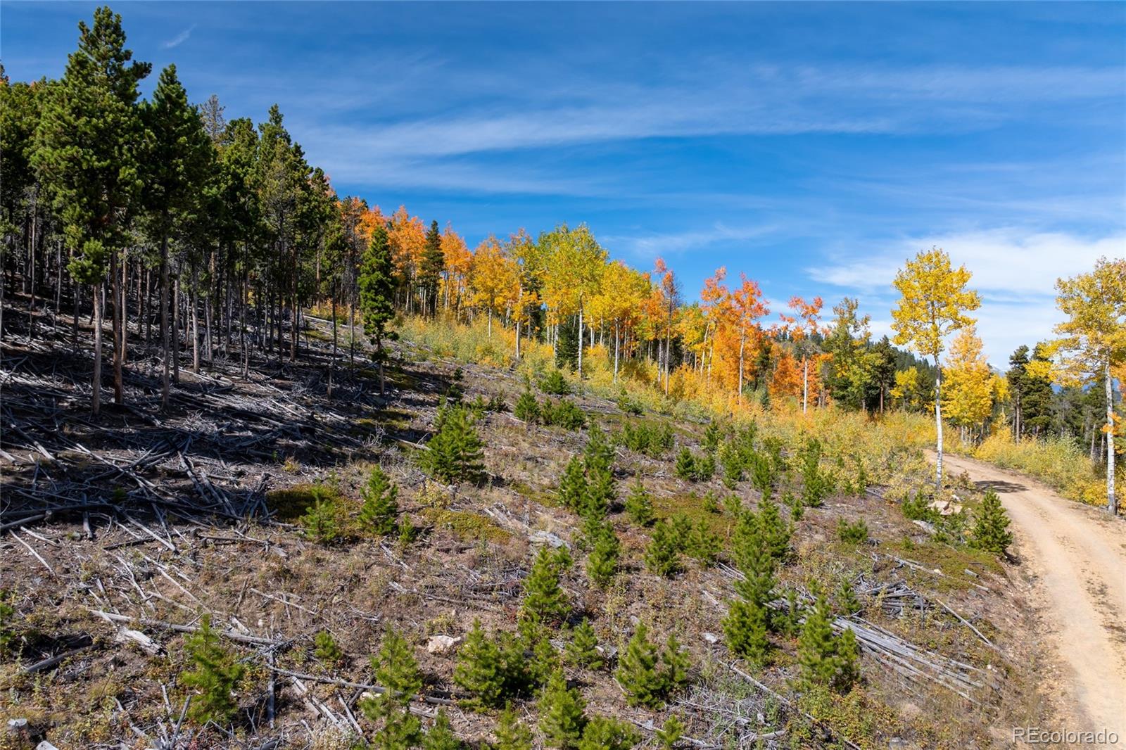 003 Seldom Seen Road Golden CO 80403