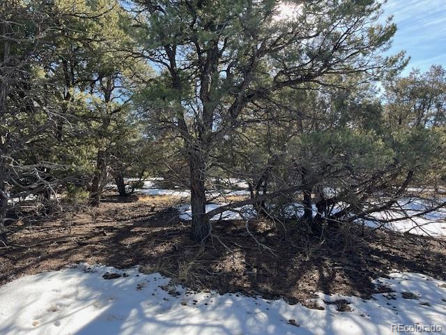 209 Blanca Place Mosca CO 81146