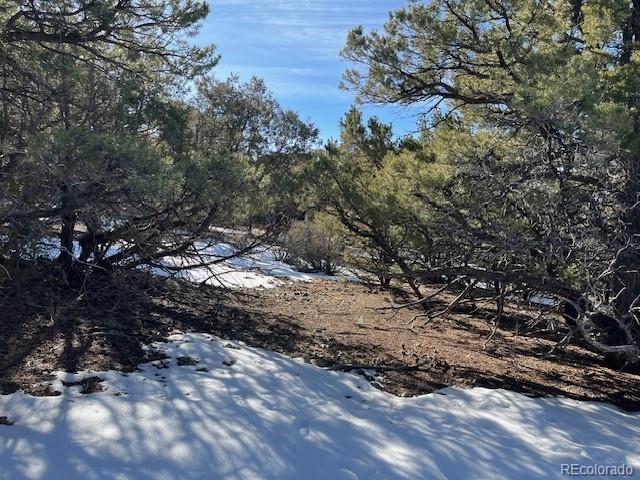 209 Blanca Place Mosca CO 81146